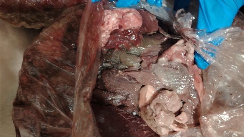 صورة المضبوطات 