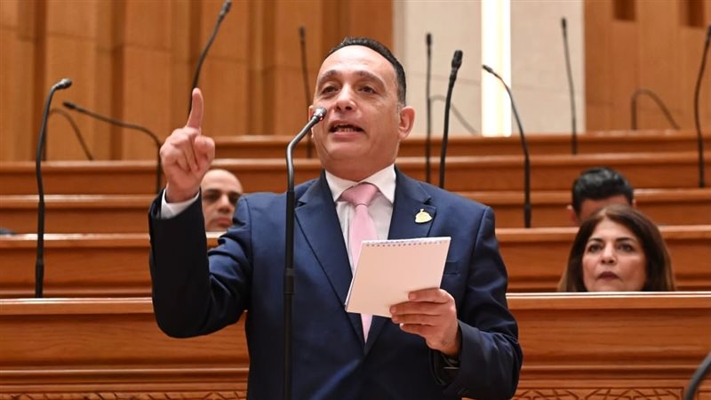 النائب فريدي البياضي،