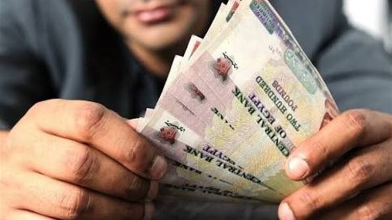 شركات التمويل المالي
