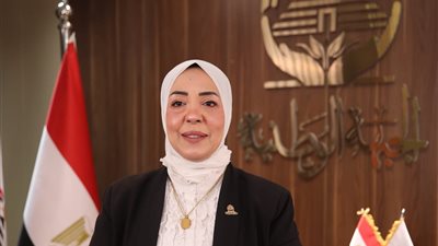 شهادة التثقيف الرقمي.. مقترح برلماني جديد شرطًا للتخرج