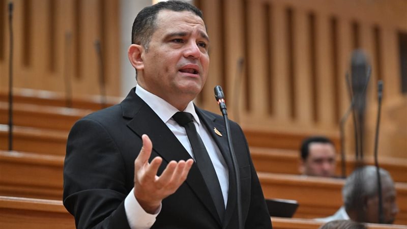 النائب أمير الجزار