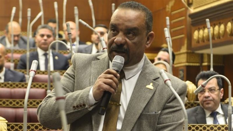  النائب أحمد حافظ،
