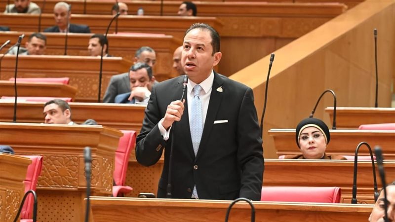 النائب حسن عمار 