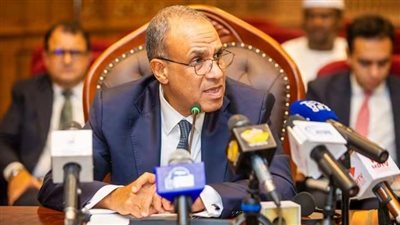 نص كلمة وزير الخارجية في منتدى الأعمال المصري–التشادي