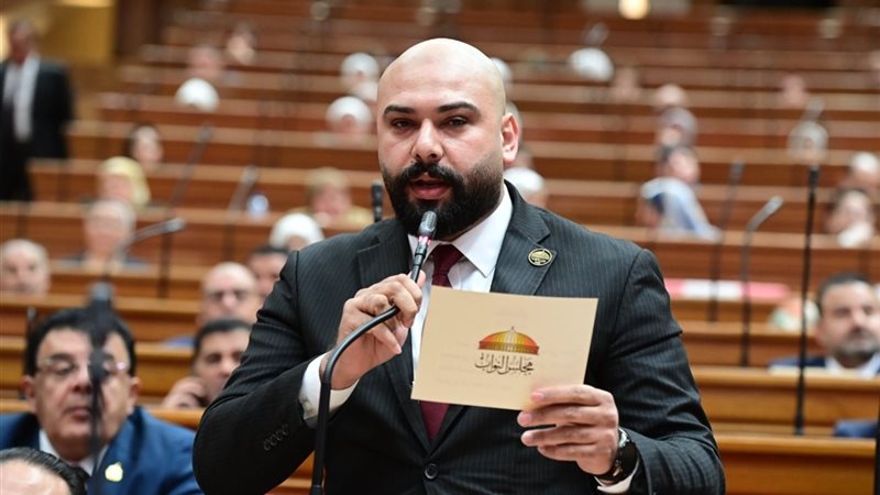  النائب إبراهيم الديب