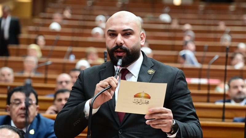 النائب إبراهيم الديب