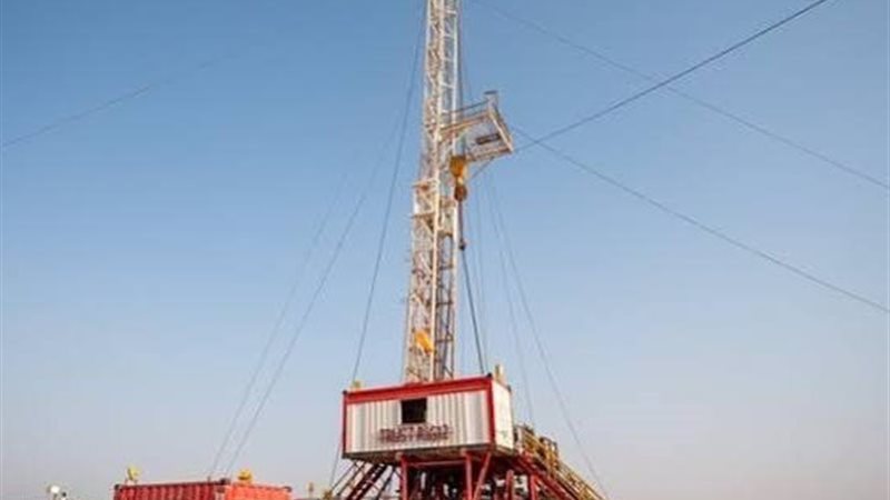 حقل البركة