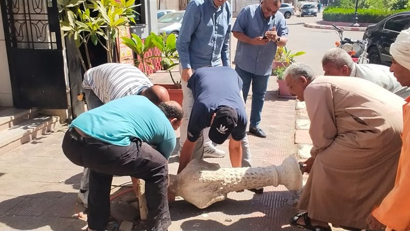 إزالة حوض تجميل سقط
