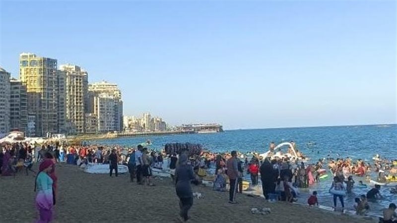 الاسكندريه 