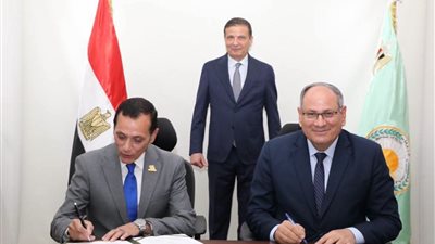 الزراعة تعلن إنتاج هجين طماطم جديد بالمغرة لتقليل فاتورة الاستيراد