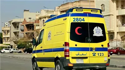 «بين الحياة والموت».. نقل سيدة وابنتها للمستشفى بعد حادث دهس مروع بالمنيا