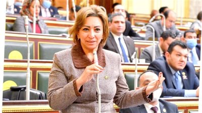 النائبة مها عبد الناصر لـ 