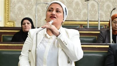 من أين لك هذا؟.. النائبة سناء السعيد تطالب بفحص ثروات النواب ومواجهة المتجاوزين