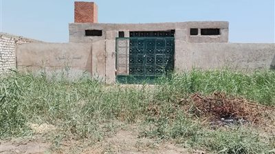 تموين بني سويف يضبط مصنع ملبن بدون ترخيص 