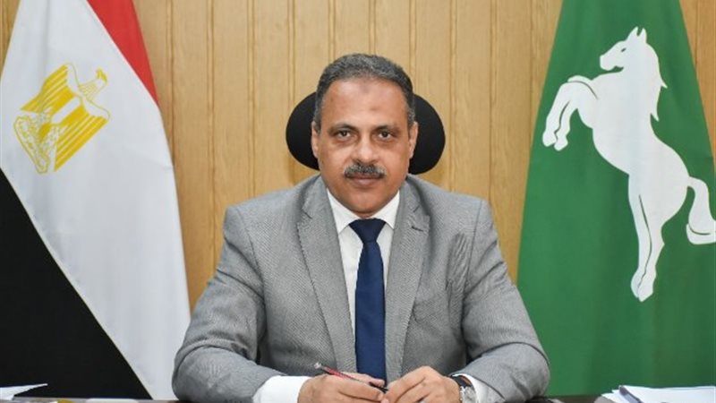محافظ الشرقية 