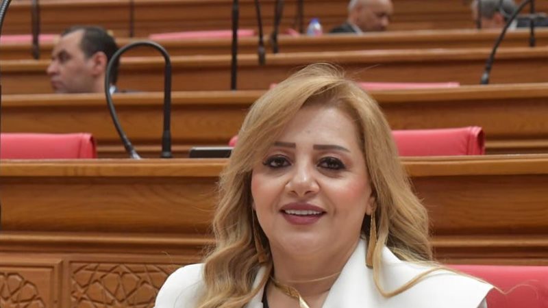 النائبة هبة غالي