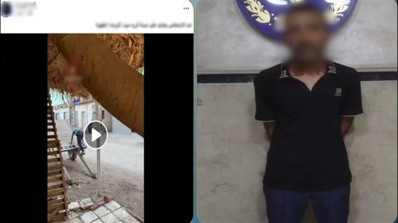 المتهم والواقعة