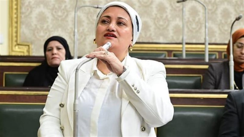  النائبة سناء السعيد