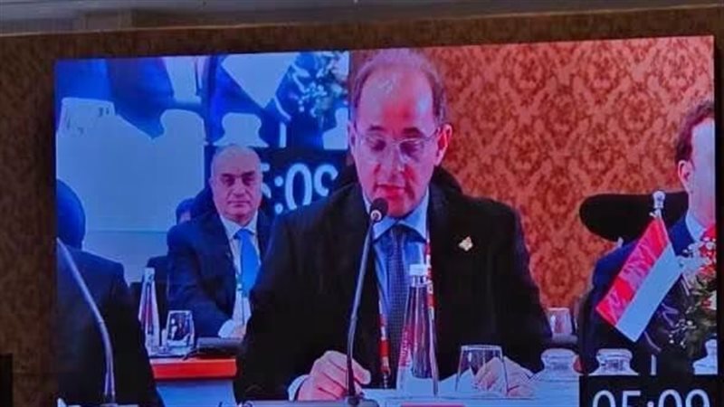 وزير المالية