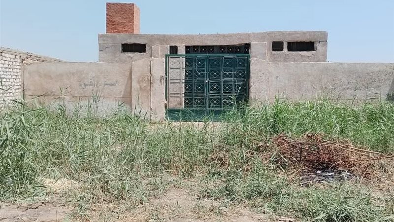 أثناء الحملة 