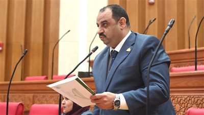 «الشباب شركاء في التنمية».. نائب يشيد بمنصة الرئيس لتحويل الأفكار إلى مشروعات