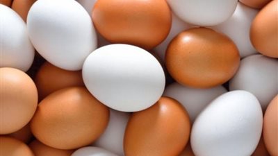 هل غسل البيض يحمي من السالمونيلا؟.. رئيس شعبة بيض المائدة يكشف التفاصيل