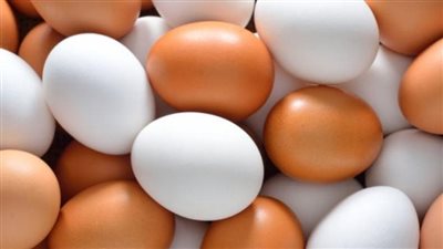 ارتفاع أسعار البيض في البحيرة.. الأحمر يسجل 110 جنيهات للكرتونة