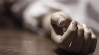 القبض على المتهمين بقتل شقيقتهما بسلاح أبيض في الإسكندرية 