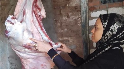 لحوم ودواجن وأسماك فاسدة في الأسواق.. تحرير 33 محضرًا بالمنيا خلال أسبوع