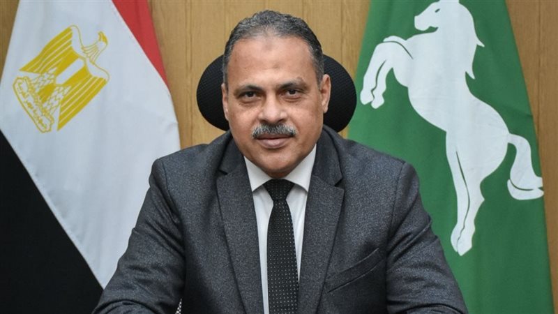 محافظ الشرقية 