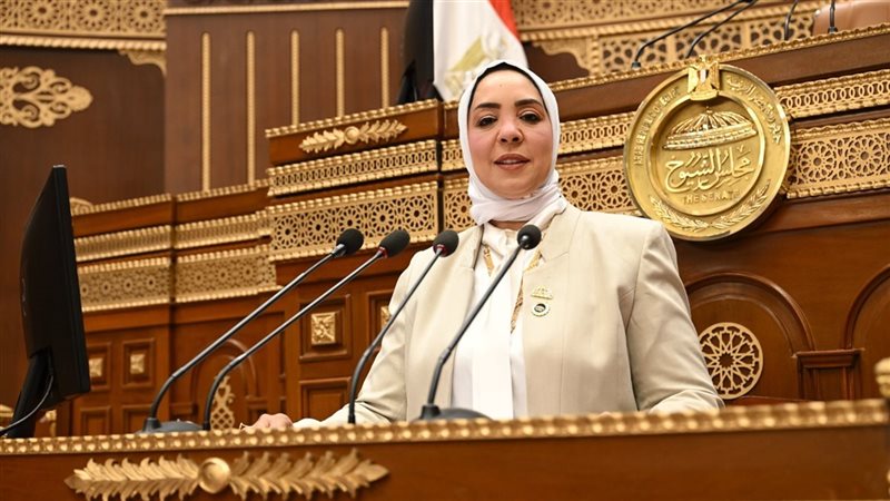  النائبة وفاء رشاد