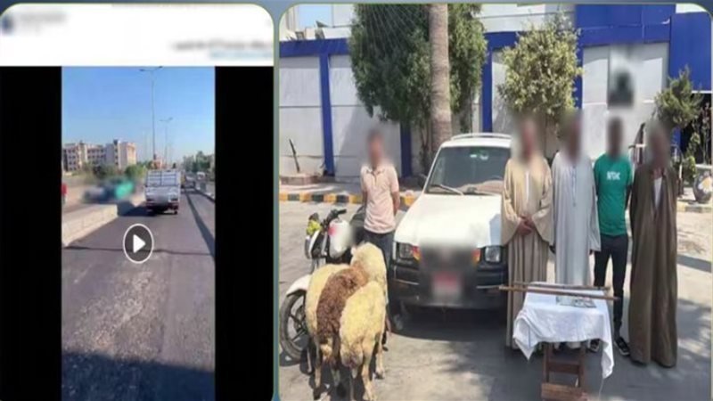 المتهمين والواقعة