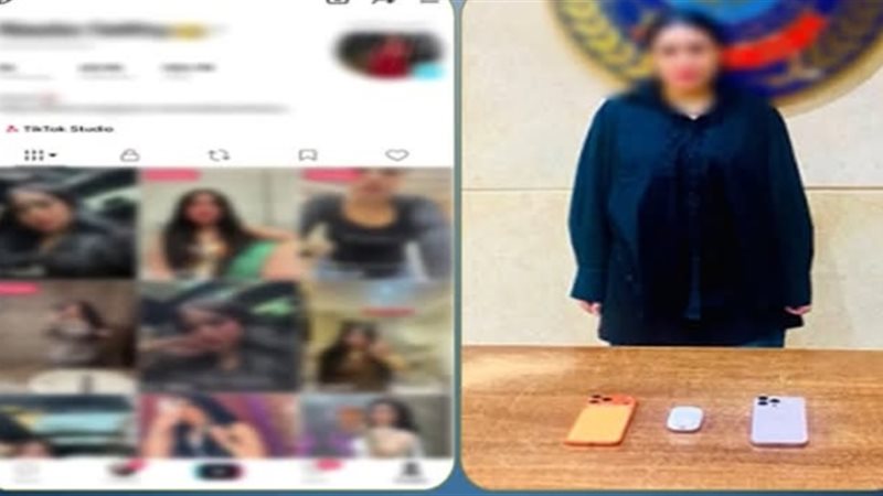 صانعة المحتوى 