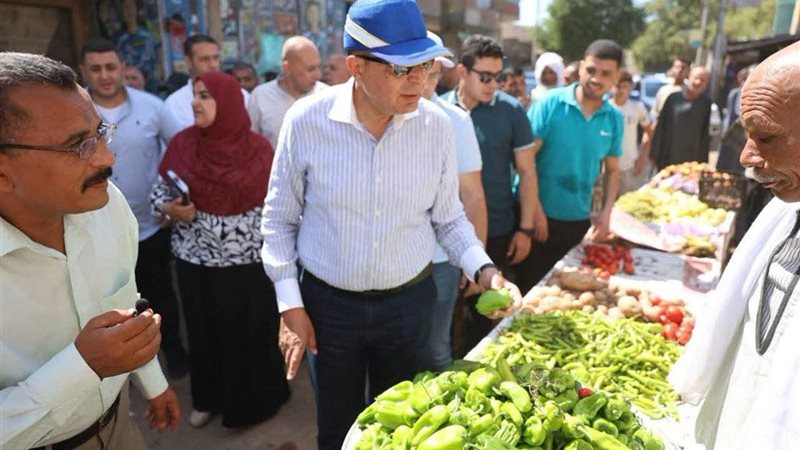 تموين المنيا