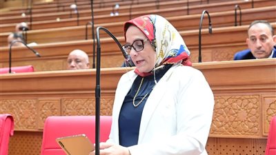 نجلاء العسيلي: توجيهات الرئيس السيسي بشأن أحكام النفقات انتصار لحقوق الأسرة