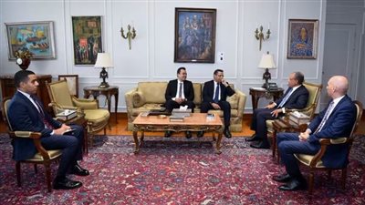 بحضور الشاذلي.. تفاصيل لقاء وزير الخارجية مع نقيب الصحفيين