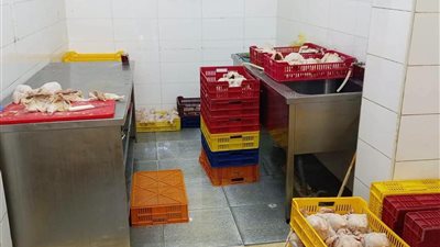 محافظ المنيا يوجه بتكثيف الحملات الرقابية على الأسواق والمحال التجارية