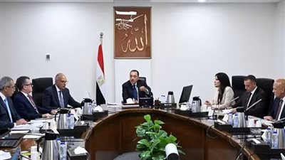 رئيس الوزراء يتابع الموقف التنفيذي لمشروعات قطاع مياه الشرب والصرف بمحافظة أسوان