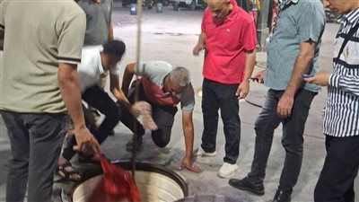 تحرير 228 مخالفة تموينية وضبط 1400 لتر سولار قبل بيعها بالسوق السوداء بالمنيا
