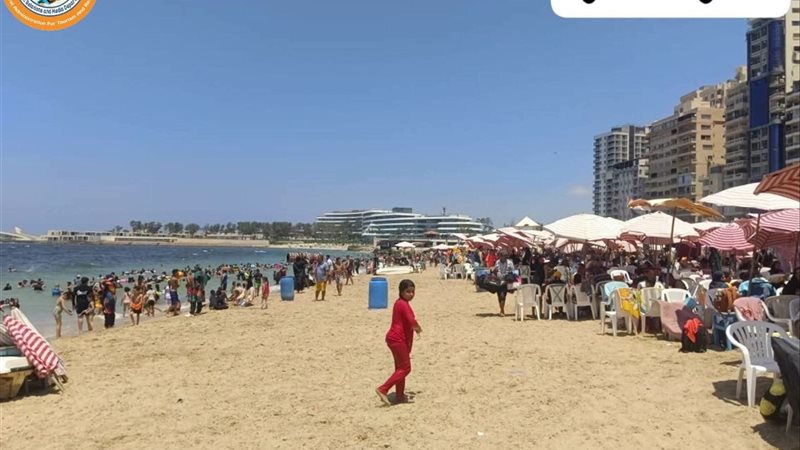 الاسكندريه 