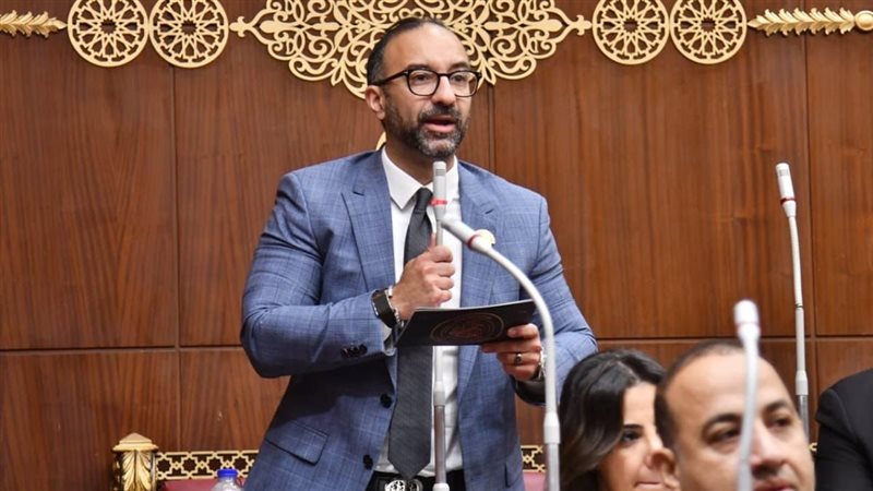 النائب احمد الحمامصي