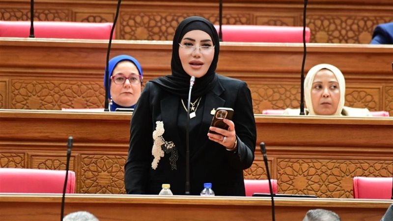 النائبة عبير عطا