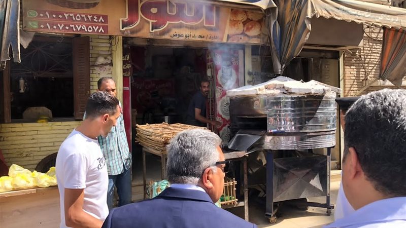 محافظ الدقهلية