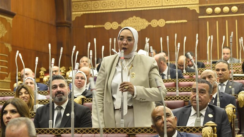 النائبة وفاء رشاد