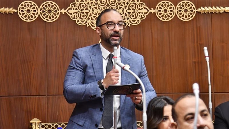 النائب أحمد الحمامصي،