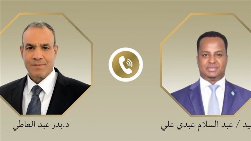 الدكتور بدر عبد العاطي