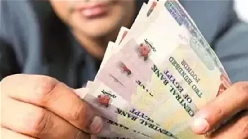 كيف تختار شهادات