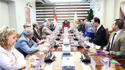 وزيرة التنمية المحلية تتابع حسم الحدود الإدارية للمدن والمحافظات