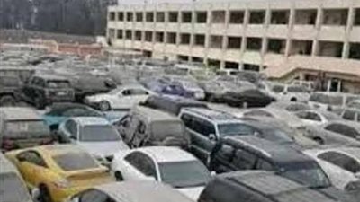 مزاد بضائع الجمارك يحقق 35.5 مليون جنيه من 17 لوطًا بجلسة واحدة