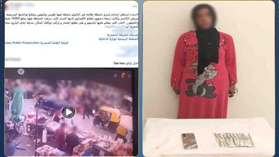 داخل سوق.. ضبط سيدة لسرقة حقيبة من ربة منزل بالبحيرة